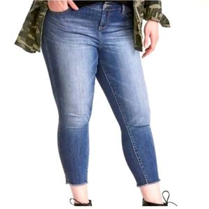 Torrid plus size jeans size 24